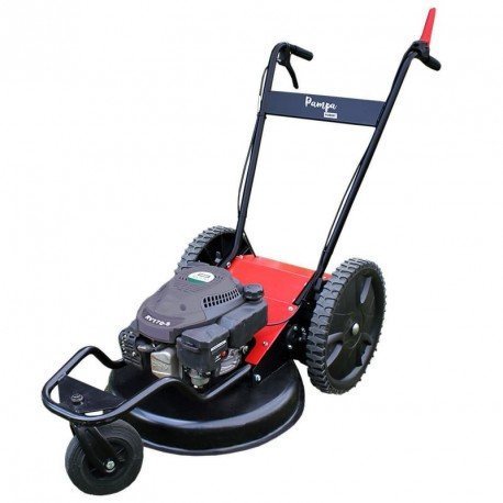 BOSMAAIER PAMPA PUBERT